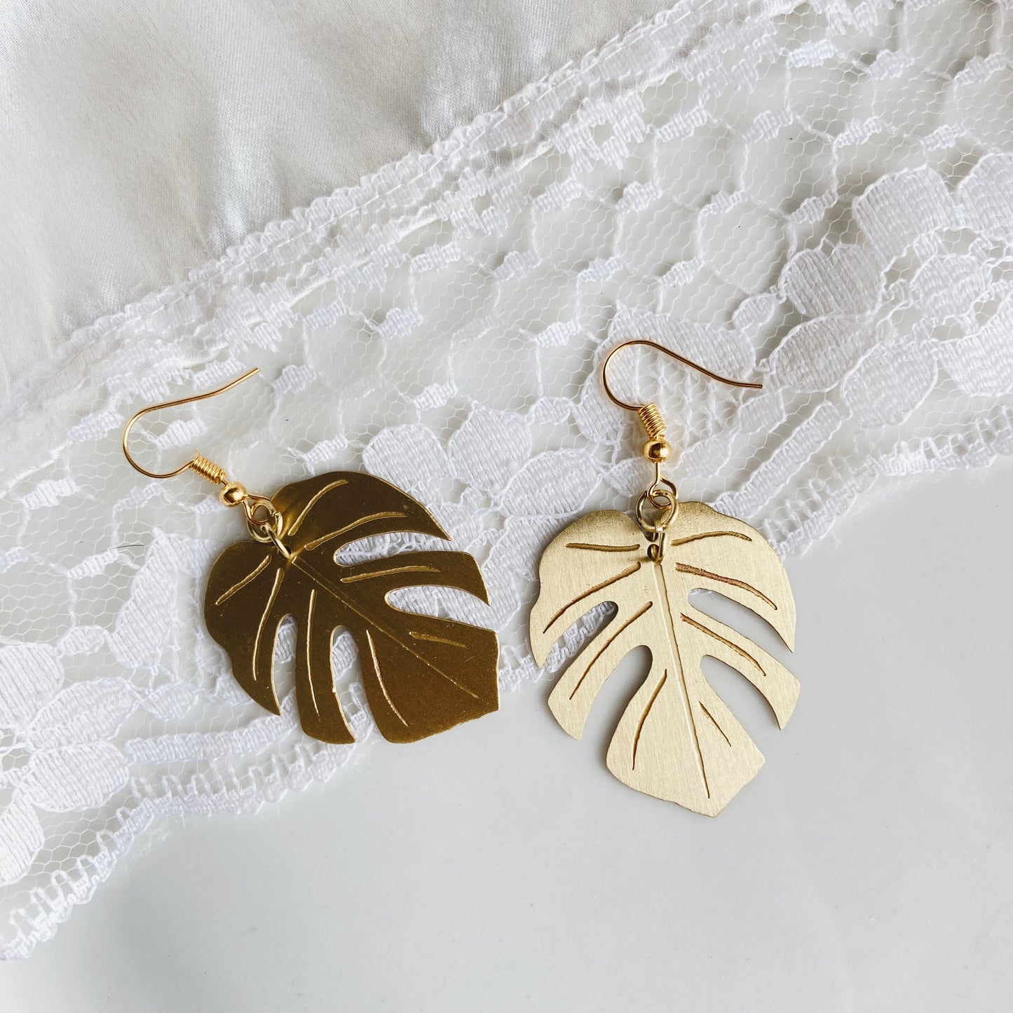 Monstera