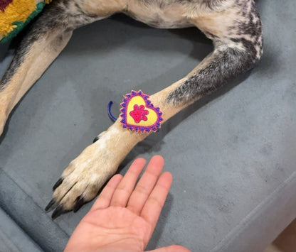 Paw Handmade Rakhi