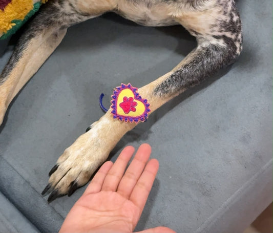 Paw Handmade Rakhi