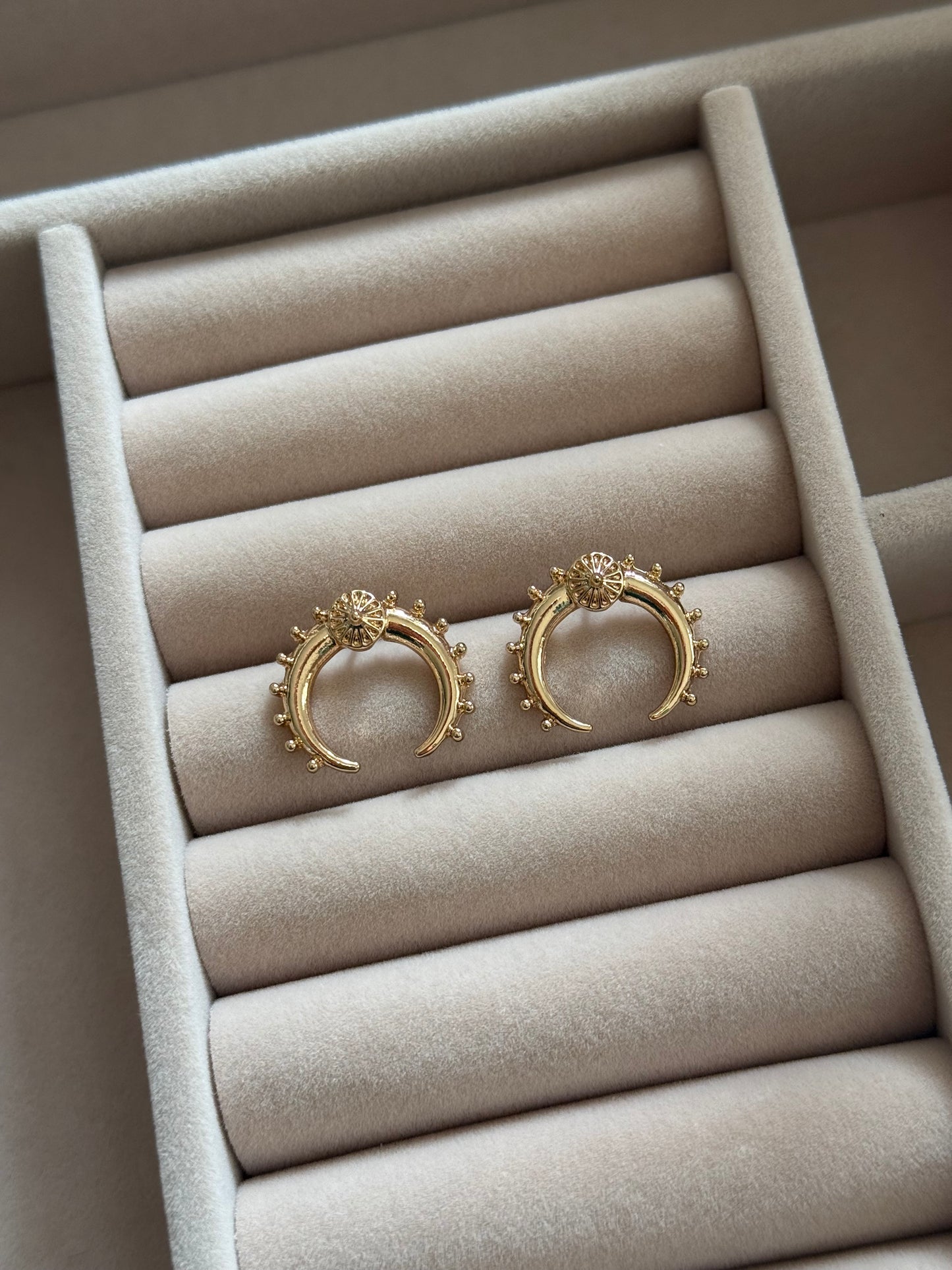 Luna Crest Hoop Earrings